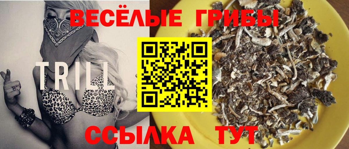 Нефтеюганск  Галлюциногенные грибы Magic Shrooms  Вход с VPN 